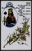 Лилии