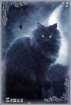 Кошка