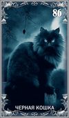 Черная кошка