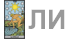 Предсказание таро «Ли»