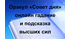 Оракул «Совет дня»